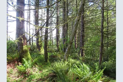 Hockett Rd, Onalaska, WA 98570 - Photo 10