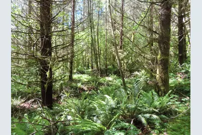 Hockett Rd, Onalaska, WA 98570 - Photo 22