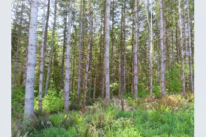 Hockett Rd, Onalaska, WA 98570 - Photo 14