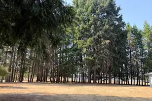 28016 Green Oaks Dr, Eugene, OR 97402 - Photo 18