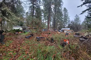 25748 Wiggins Ln, Veneta, OR 97487 - Photo 6