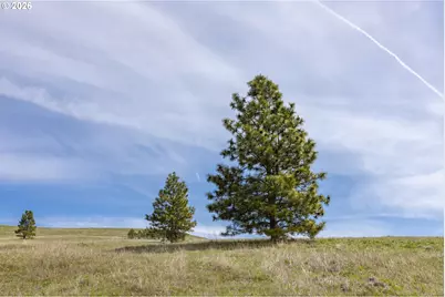 60 Hartwig Rd, Lyle, WA 98635 - Photo 28