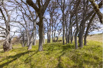 60 Hartwig Rd, Lyle, WA 98635 - Photo 34