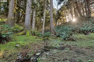 131 Arbor Ln, Cannon Beach, OR 97110 - Photo 36