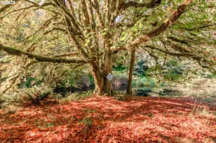 9602 Harlan Rd, Eddyville, OR 97343 - Photo 40