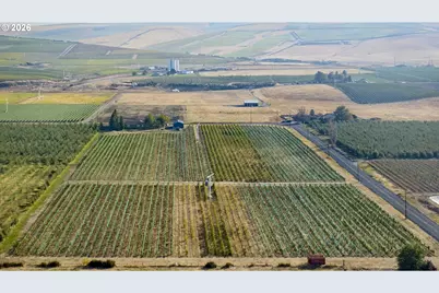 52201 County Rd, Milton-Freewater, OR 97862 - Photo 6