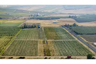 52201 County Rd, Milton-Freewater, OR 97862 - Photo 6