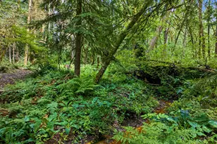 64601 E Brightwood Loop Rd, Brightwood, OR 97011 - Photo 30