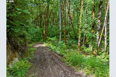 64601 E Brightwood Loop Rd, Brightwood, OR 97011 - Photo 44