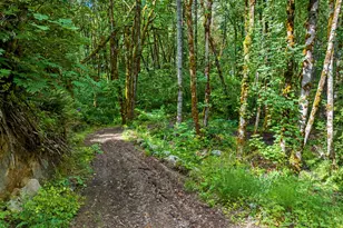 64601 E Brightwood Loop Rd, Brightwood, OR 97011 - Photo 44