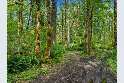 64601 E Brightwood Loop Rd, Brightwood, OR 97011 - Photo 40