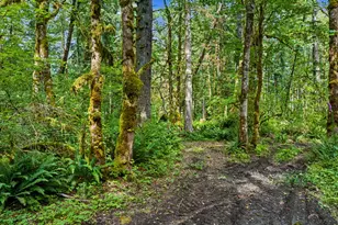 64601 E Brightwood Loop Rd, Brightwood, OR 97011 - Photo 40
