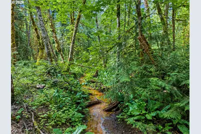 64601 E Brightwood Loop Rd, Brightwood, OR 97011 - Photo 36