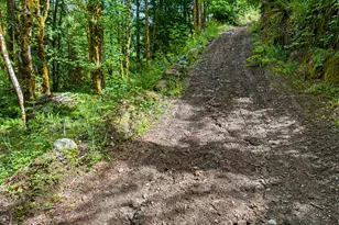 64601 E Brightwood Loop Rd, Brightwood, OR 97011 - Photo 42