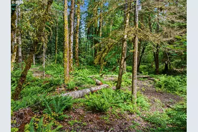 64601 E Brightwood Loop Rd, Brightwood, OR 97011 - Photo 34