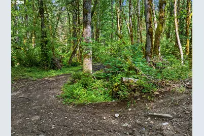 64601 E Brightwood Loop Rd, Brightwood, OR 97011 - Photo 42