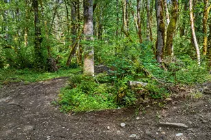 64601 E Brightwood Loop Rd, Brightwood, OR 97011 - Photo 42