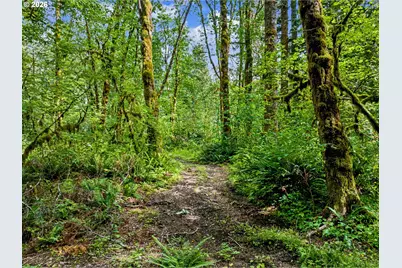 64601 E Brightwood Loop Rd, Brightwood, OR 97011 - Photo 38