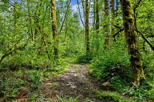 64601 E Brightwood Loop Rd, Brightwood, OR 97011 - Photo 38