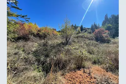 Landess, Cottage Grove, OR 97424 - Photo 12