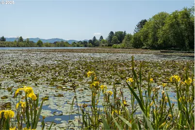 90431 Lewis Rd, Warrenton, OR 97146 - Photo 24