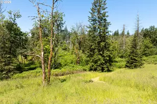 39508 SE 37th St, Washougal, WA 98671 - Photo 40