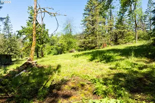 39508 SE 37th St, Washougal, WA 98671 - Photo 42
