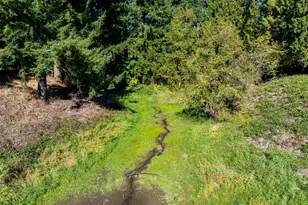 3015 S Parkway Ave, Battle Ground, WA 98604 - Photo 18