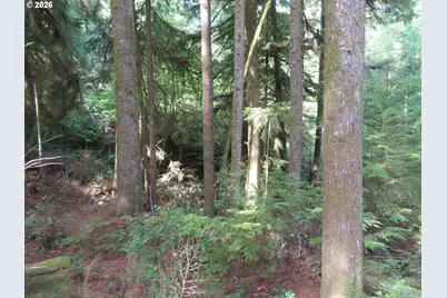 State Route 101, South Bend, WA 98586 - Photo 14