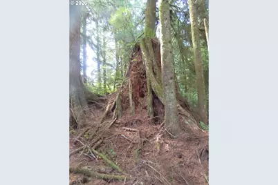 State Route 101, South Bend, WA 98586 - Photo 26