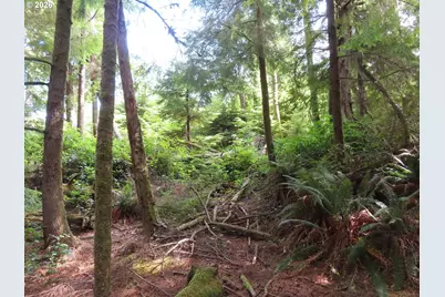 State Route 101, South Bend, WA 98586 - Photo 28