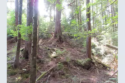 State Route 101, South Bend, WA 98586 - Photo 22