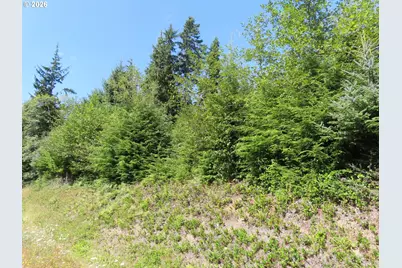 State Route 101, South Bend, WA 98586 - Photo 18