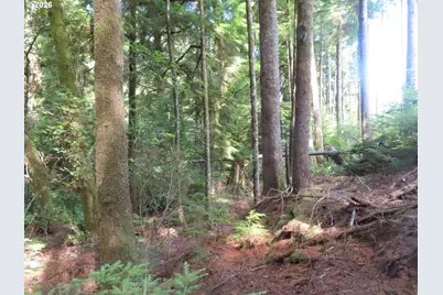 State Route 101, South Bend, WA 98586 - Photo 12