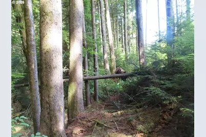 State Route 101, South Bend, WA 98586 - Photo 24