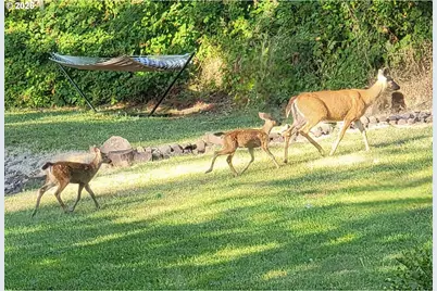 35676 Oak View Dr, Brownsville, OR 97327 - Photo 34