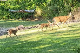 35676 Oak View Dr, Brownsville, OR 97327 - Photo 34