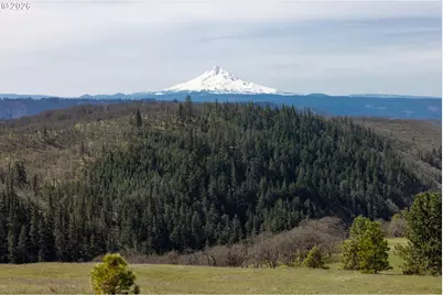 60 Hartwig Rd, Lyle, WA 98635 - Photo 30
