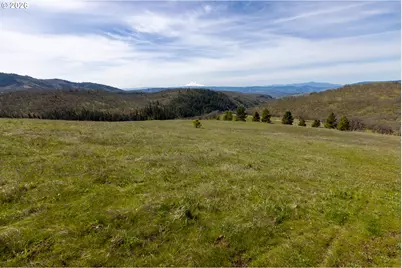 60 Hartwig Rd, Lyle, WA 98635 - Photo 28