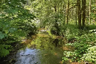 91984 Nelson Mountain Rd, Deadwood, OR 97430 - Photo 28