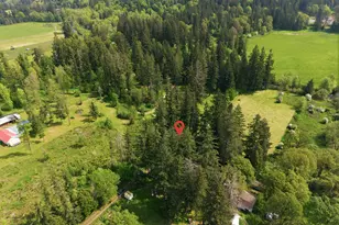 27688 S Hwy 213, Mulino, OR 97042 - Photo 48