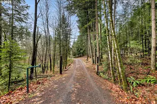 4724 NE 292nd Ave, Camas, WA 98607 - Photo 4