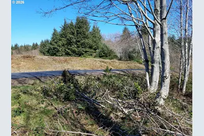 Holly Heights Ave #TL 218, Netarts, OR 97143 - Photo 2