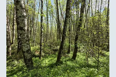 Mill Falls Ln, Longview, WA 98632 - Photo 12