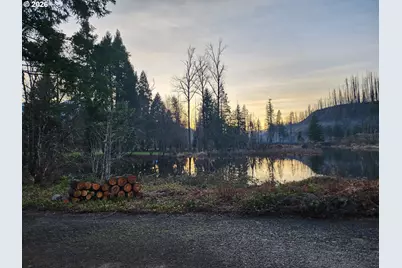 54432 McKenzie Hwy #23, Blue River, OR 97413 - Photo 8