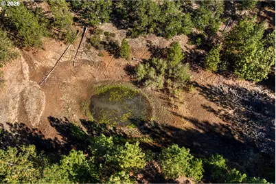 73 Long Rd, Wahkiacus, WA 98670 - Photo 42