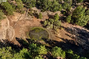 73 Long Rd, Wahkiacus, WA 98670 - Photo 42