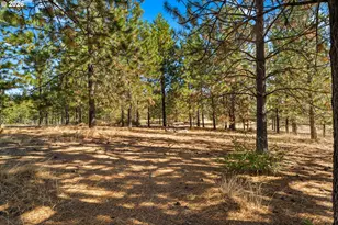 73 Long Rd, Wahkiacus, WA 98670 - Photo 40