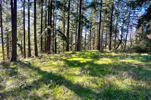 29358 S Salo Rd, Mulino, OR 97042 - Photo 40