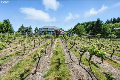 442 Varsity Rd, Kalama, WA 98625 - Photo 42